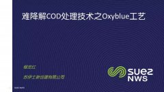 蘇伊士：難降解COD去除技術(shù)之Oxyblue臭氧生物濾池工藝（ppt）